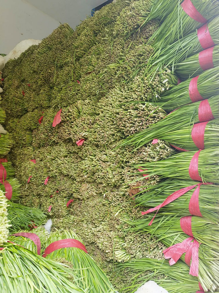 莒南脫水韭菜系列