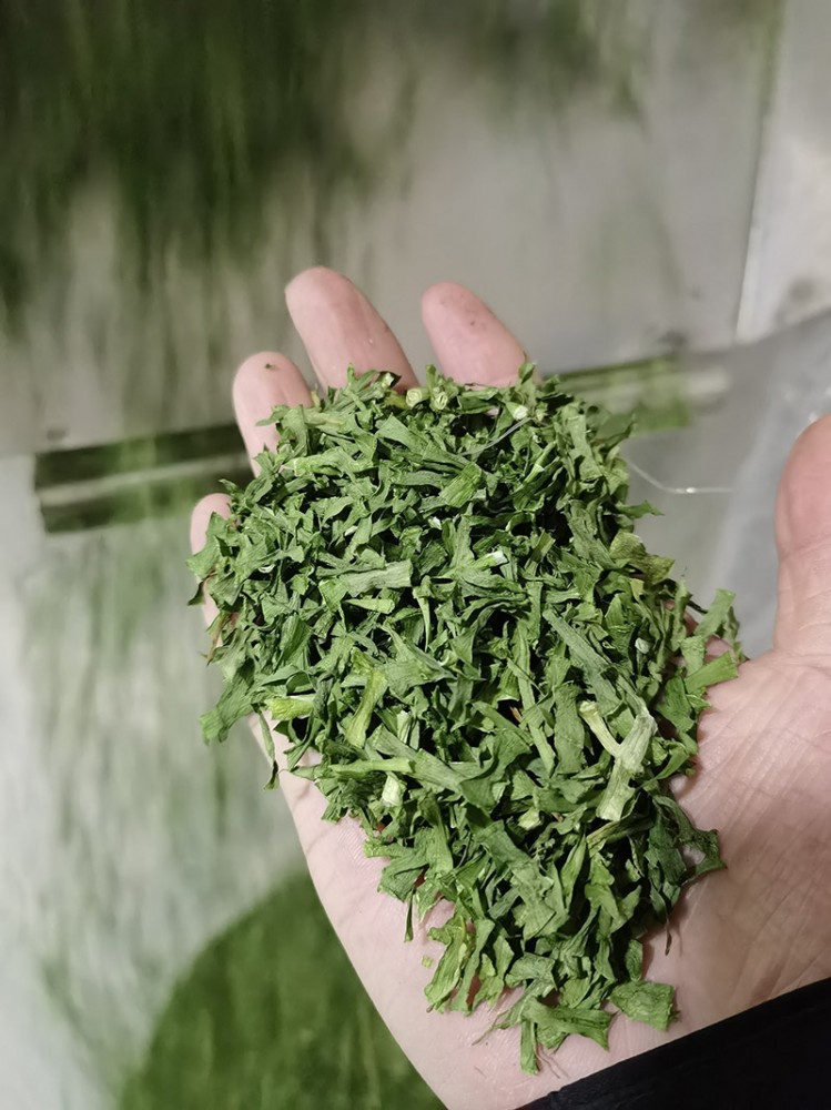 莒南脫水韭菜系列3