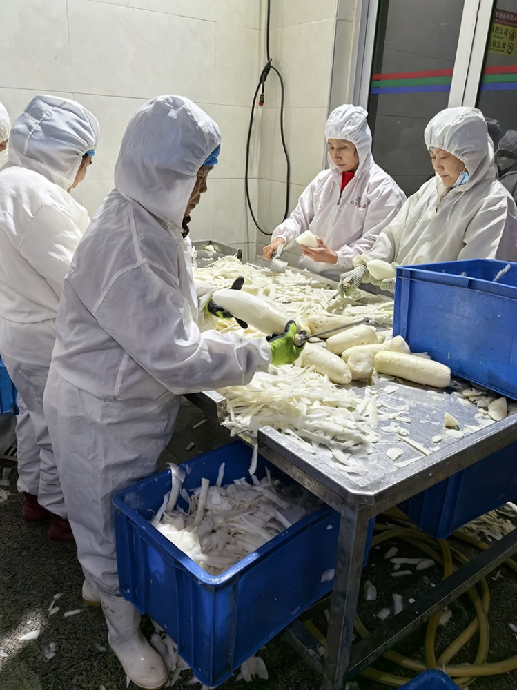 莒南脫水蘿卜系列3