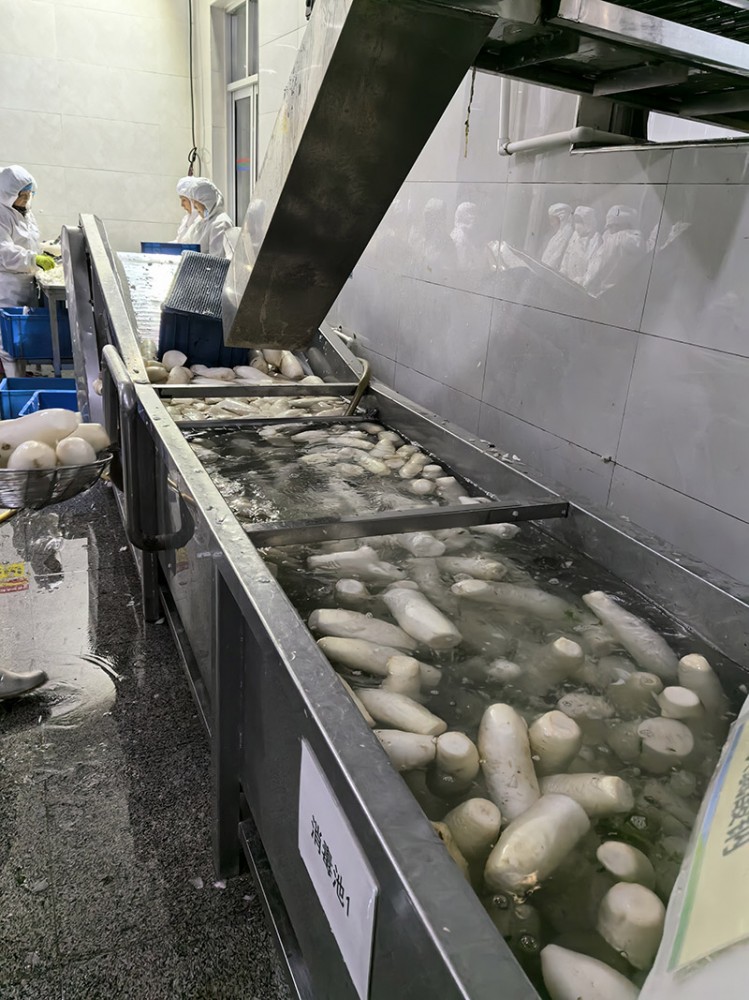 莒南脫水蘿卜系列4