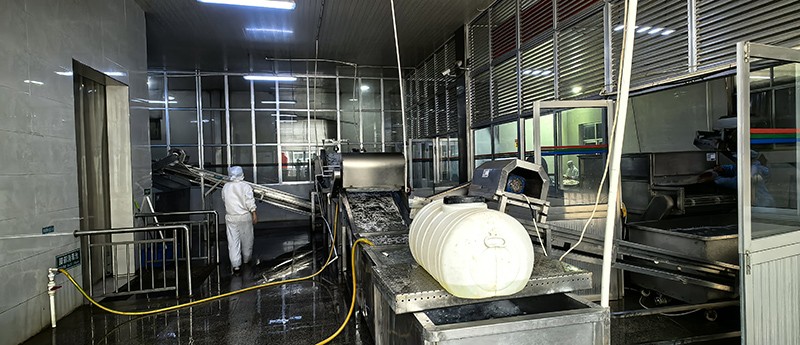 莒南脫水蘿卜系列8